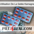 Utilisation De La Gelée Kamagra 05